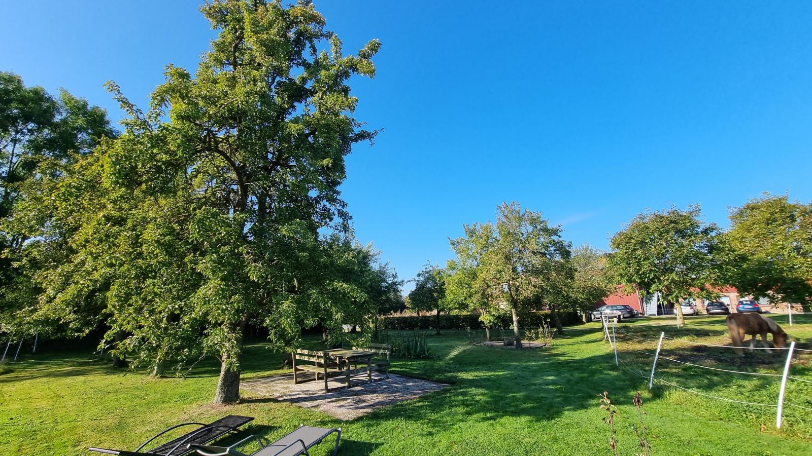 Stjarna-Tuinen zomer