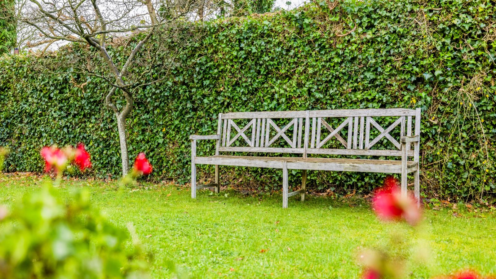 Ananda - Tuin winter