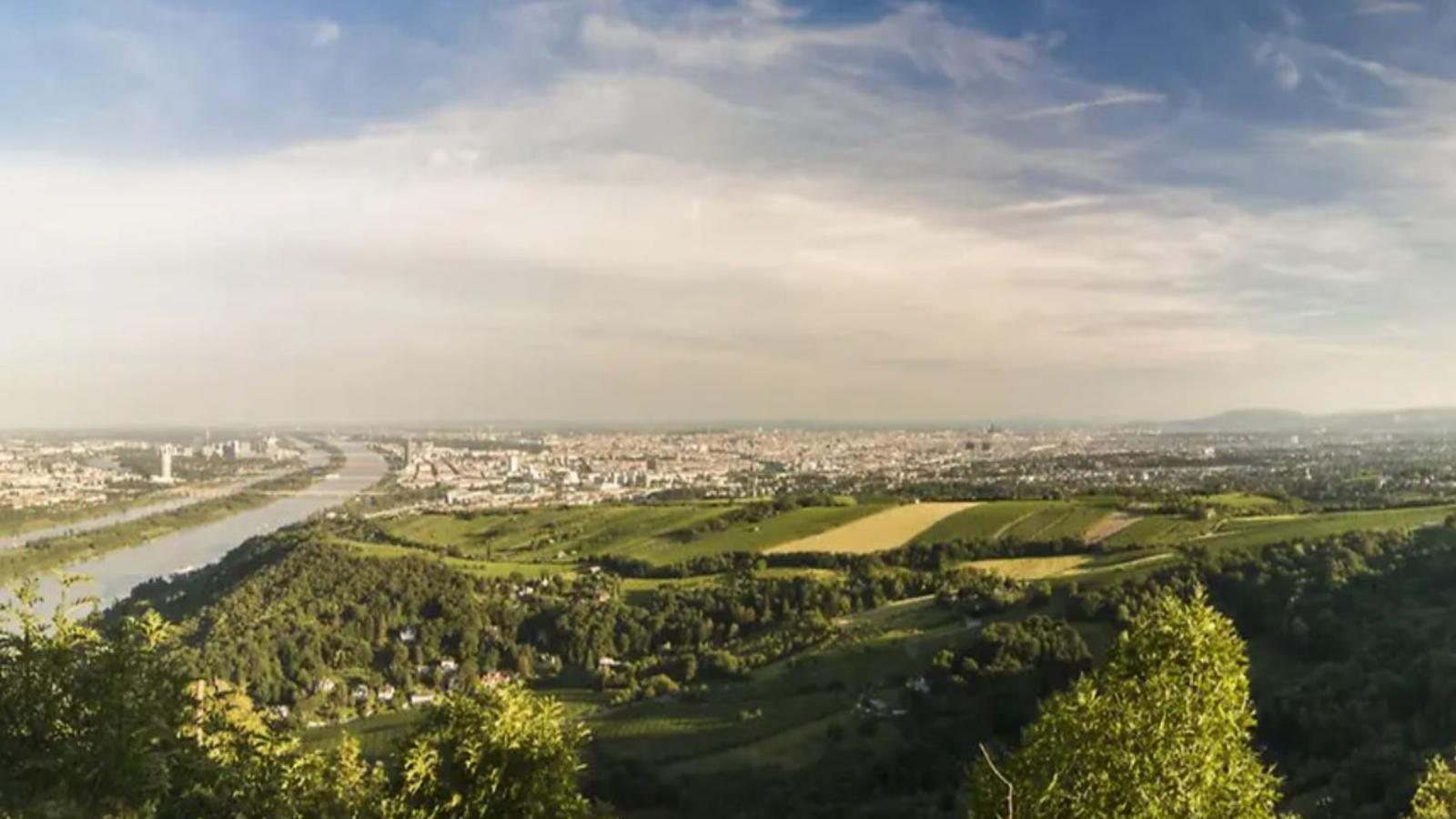 Wienerwaldblick - Gebiete Sommer 20 km