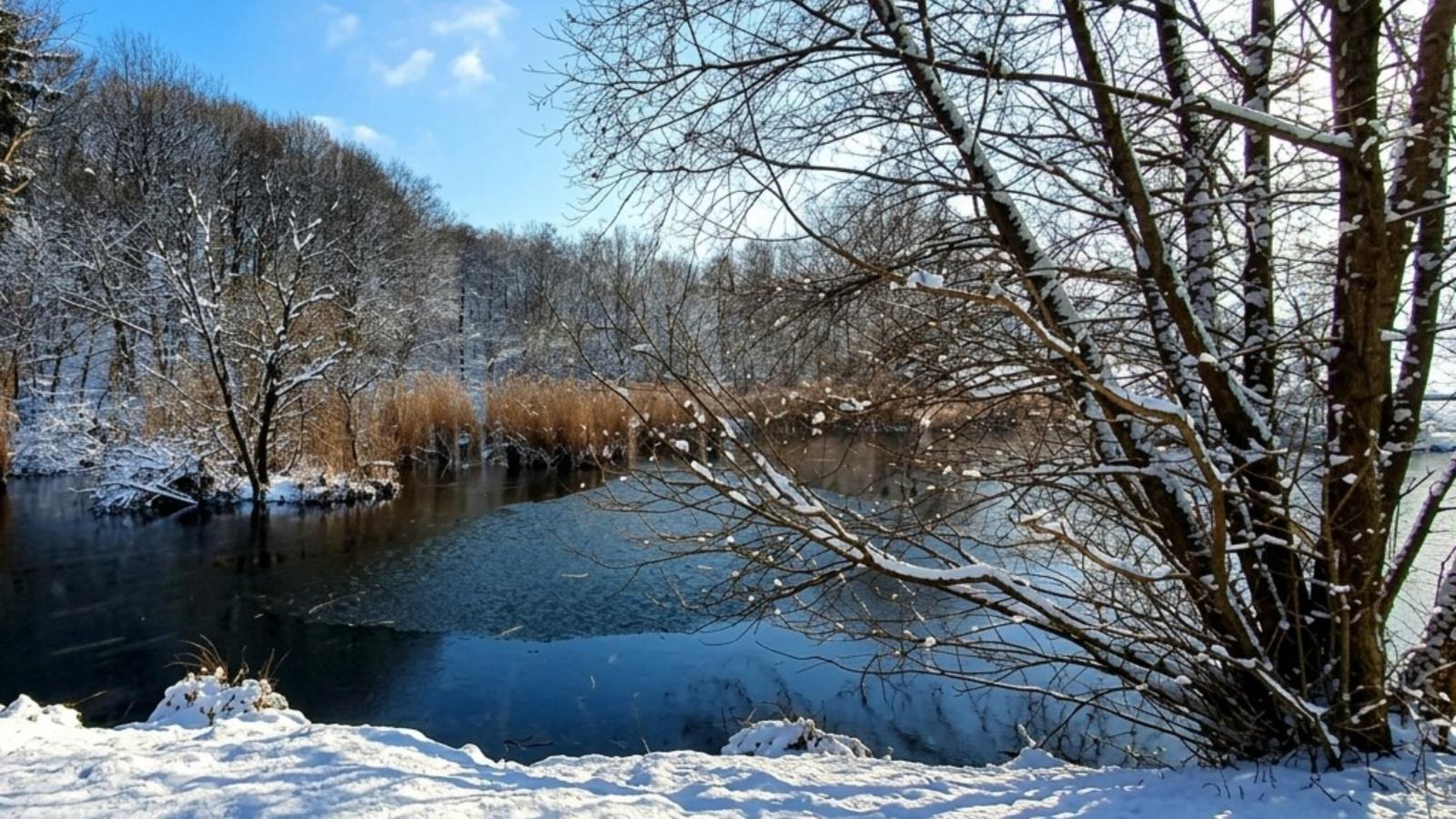 Wienerwaldblick