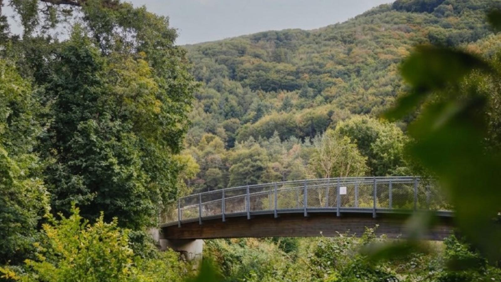 Wienerwaldblick - Gebiete Sommer 20 km