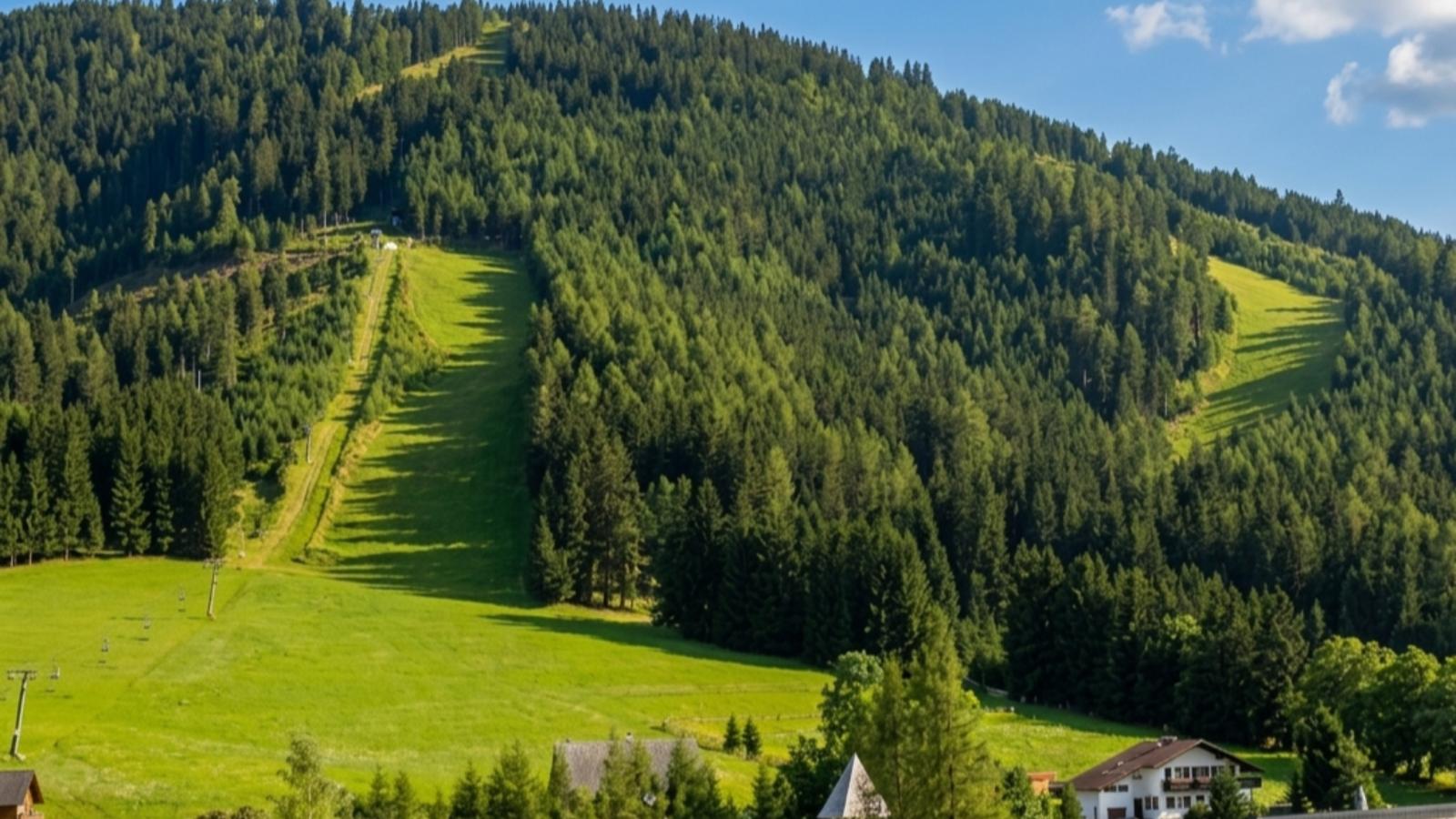 The Laerch - Gebieden zomer 1km