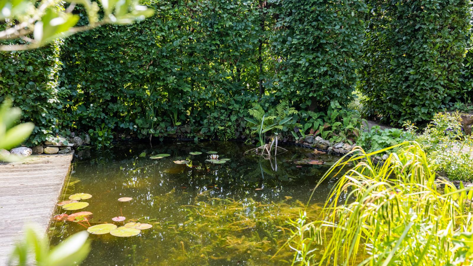 De Steeneik-Gardens summer