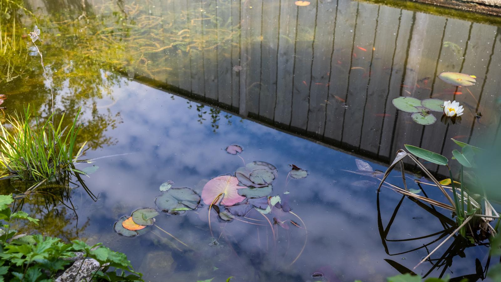 De Steeneik-Gardens summer