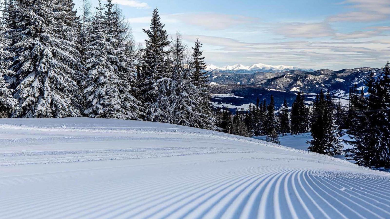 Grebenzen Lodge 57A-Area winter 1km