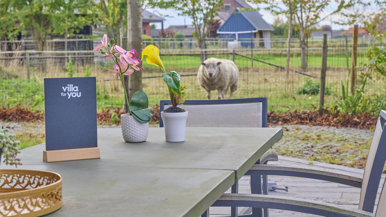 Quanto A-Terrasbalkon