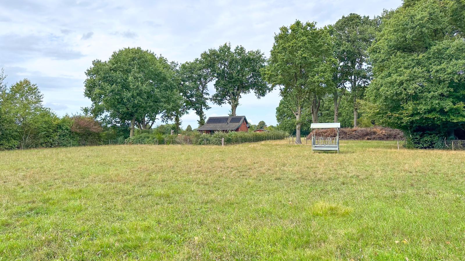 Het Bunt-Areas within 1km in summer