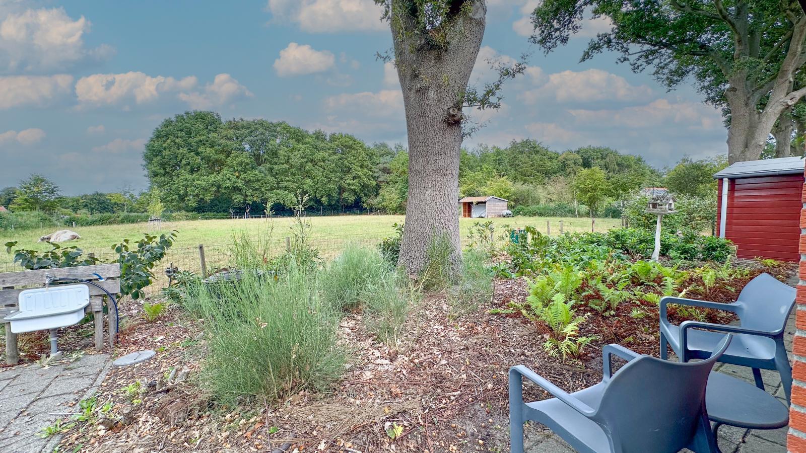Het Bunt-View in summer