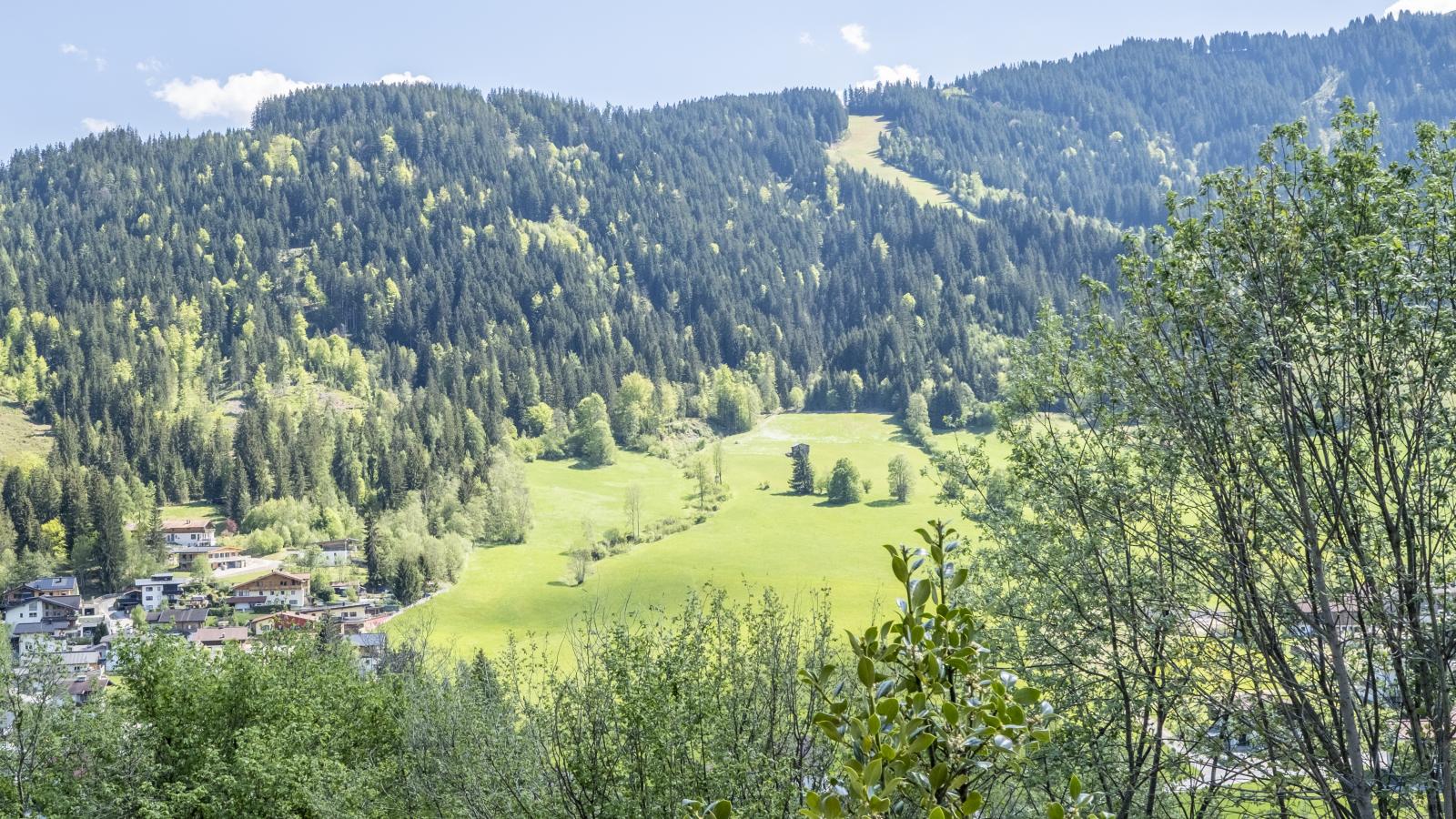 Berghof-View