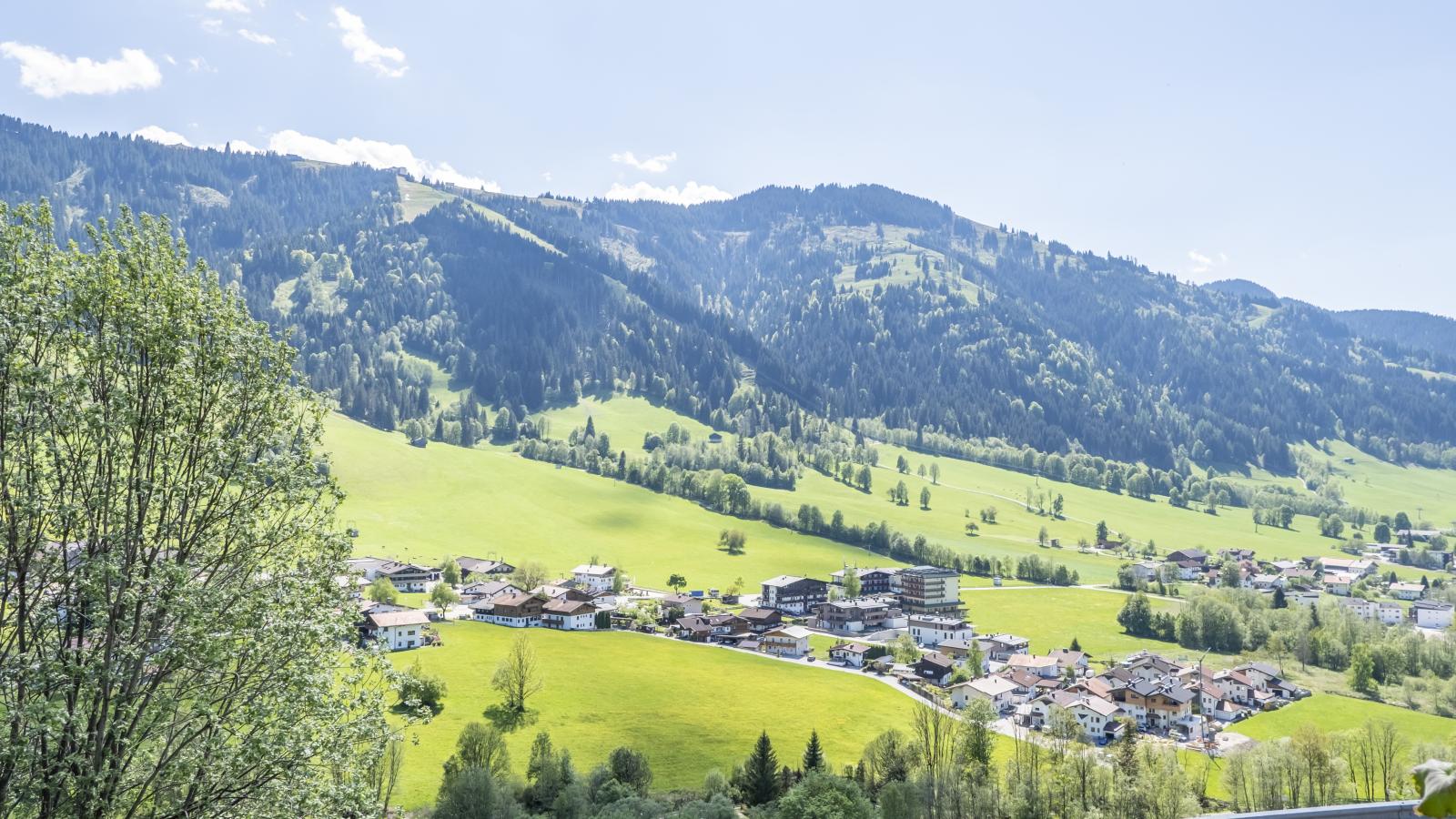 Berghof-View summer