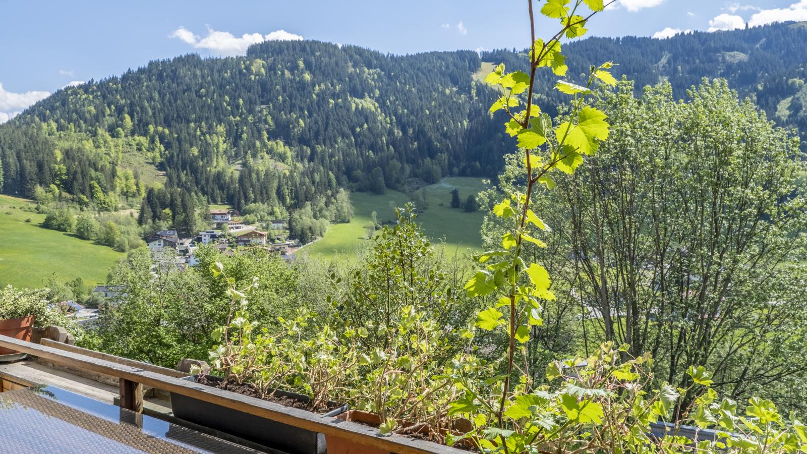 Berghof-View summer