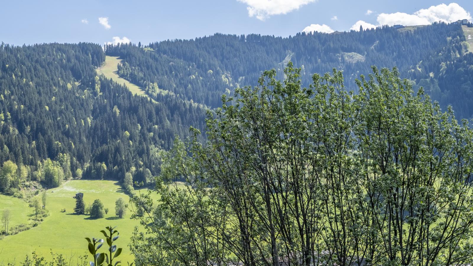 Berghof-View