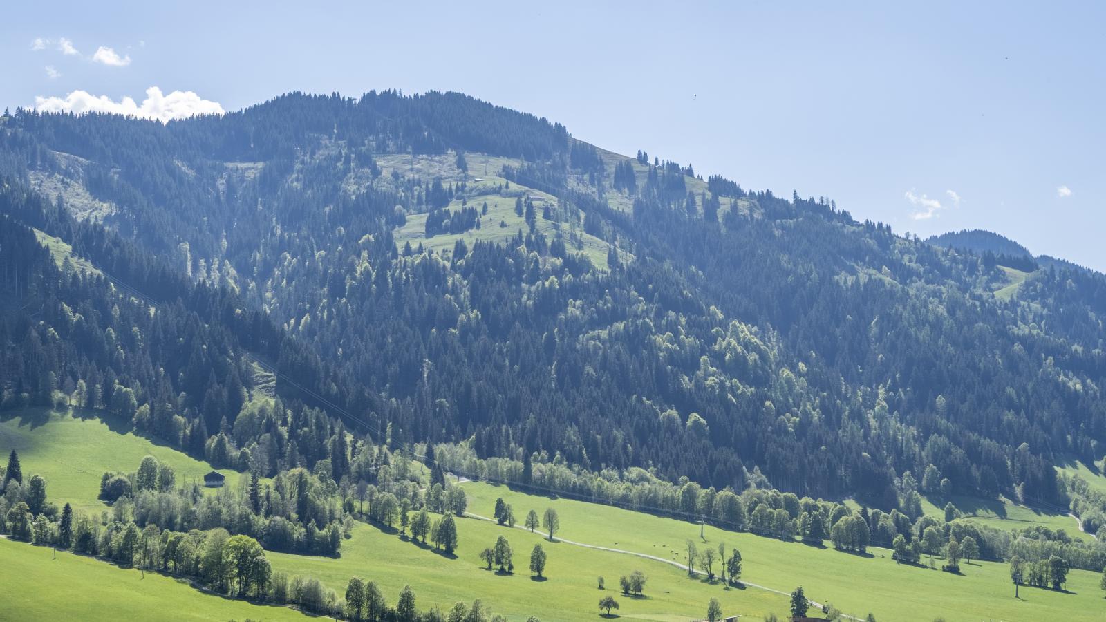 Berghof-View