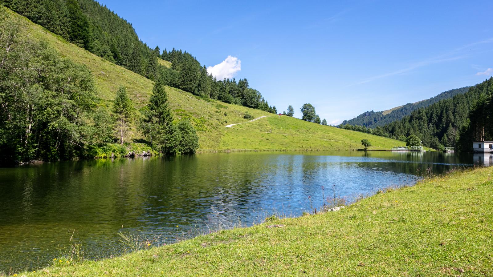 Heualm-Uitzicht zomer