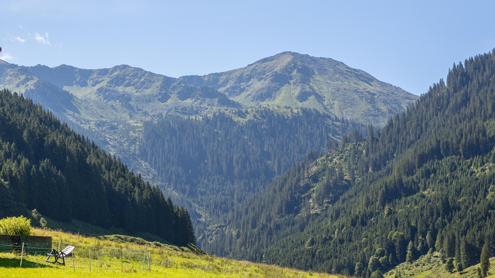 Heualm-Uitzicht zomer