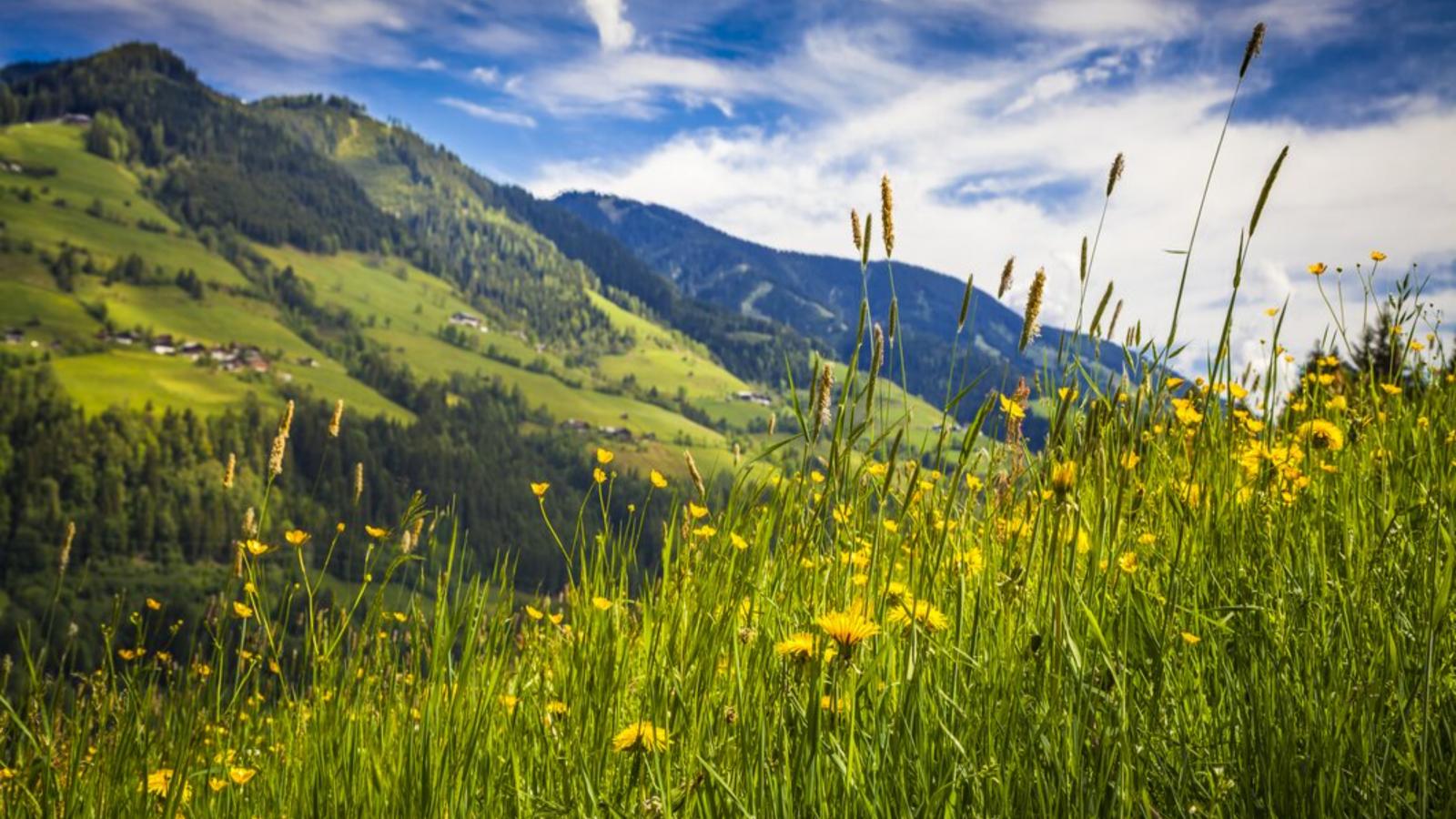 Spatzennest - Gebieden zomer 20km