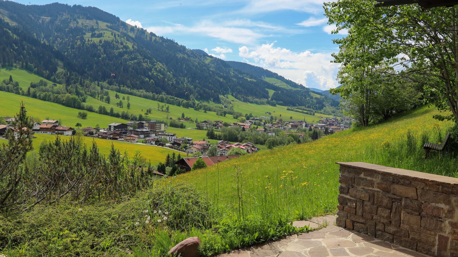 Kitzbüheler-Alpen Chalet-Uitzicht zomer