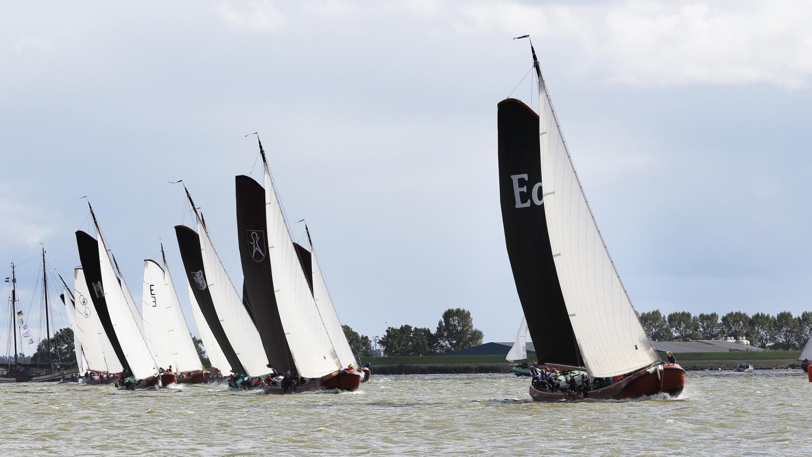 Safaritent in Heeg-Gebieden zomer 20km