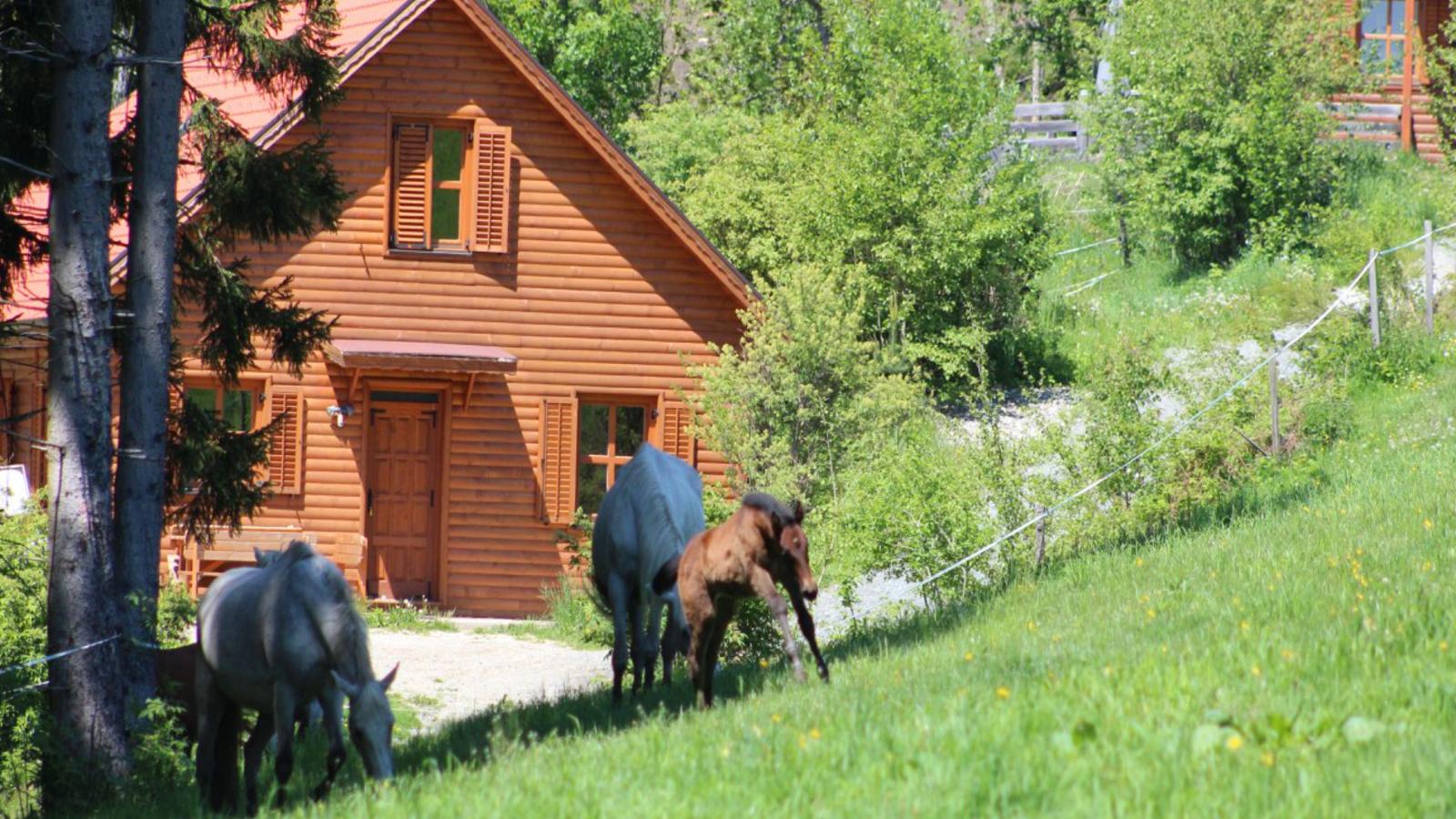 Sternenchalet-View summer