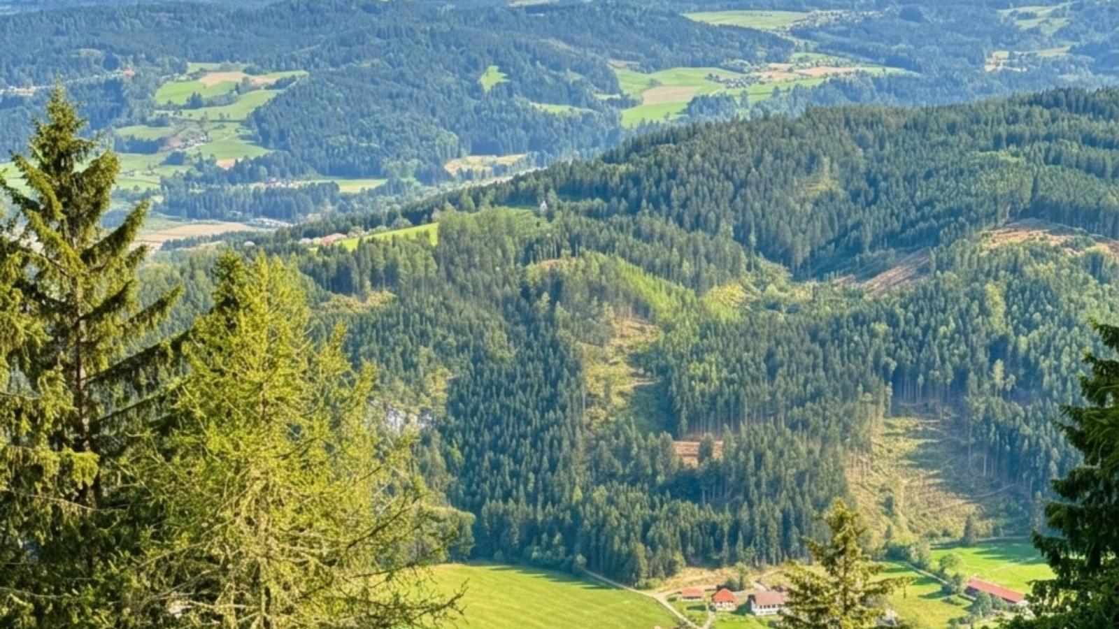 Karawankenpanorama - Gebieden zomer 20km