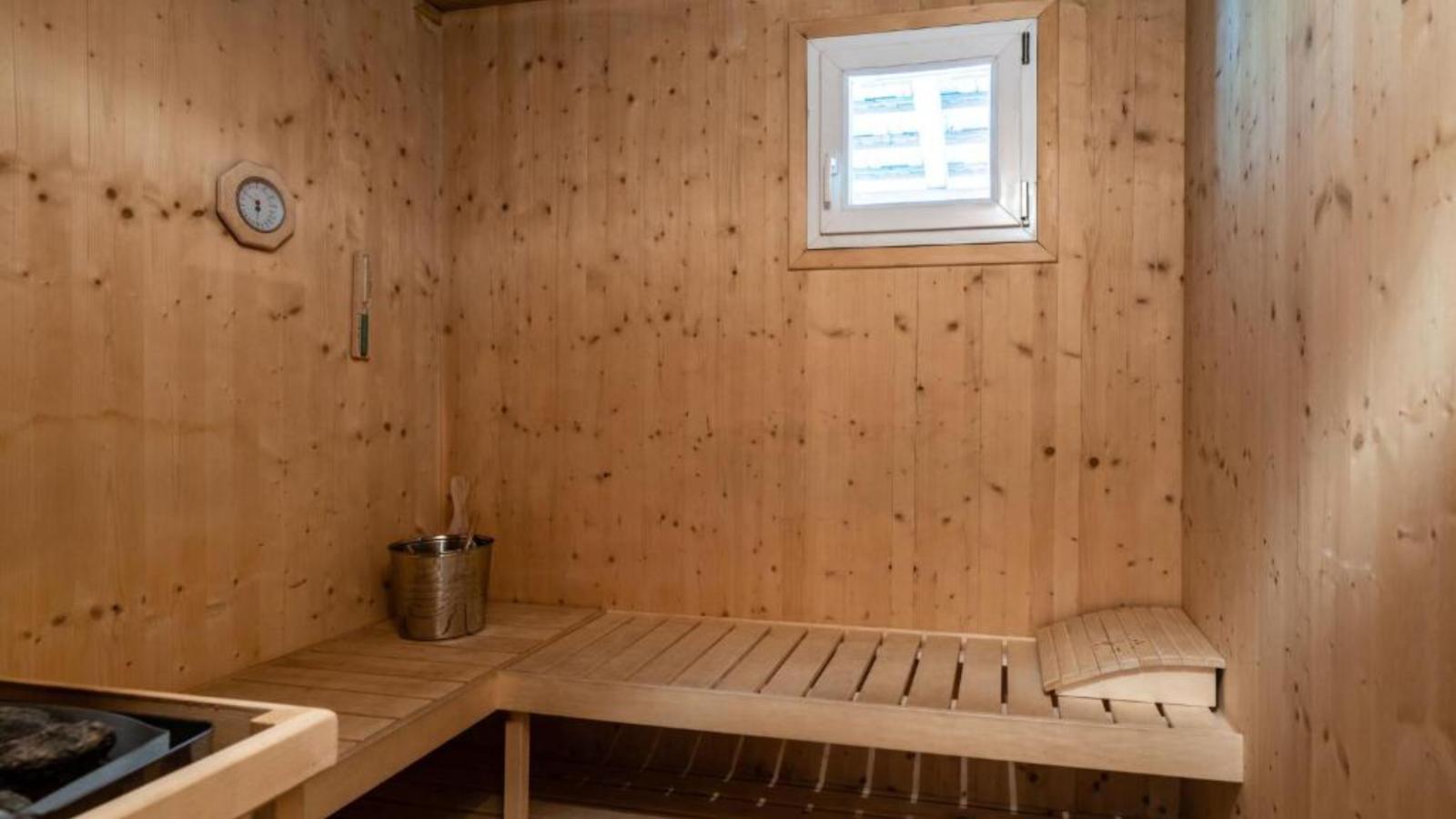 Baier-Sauna