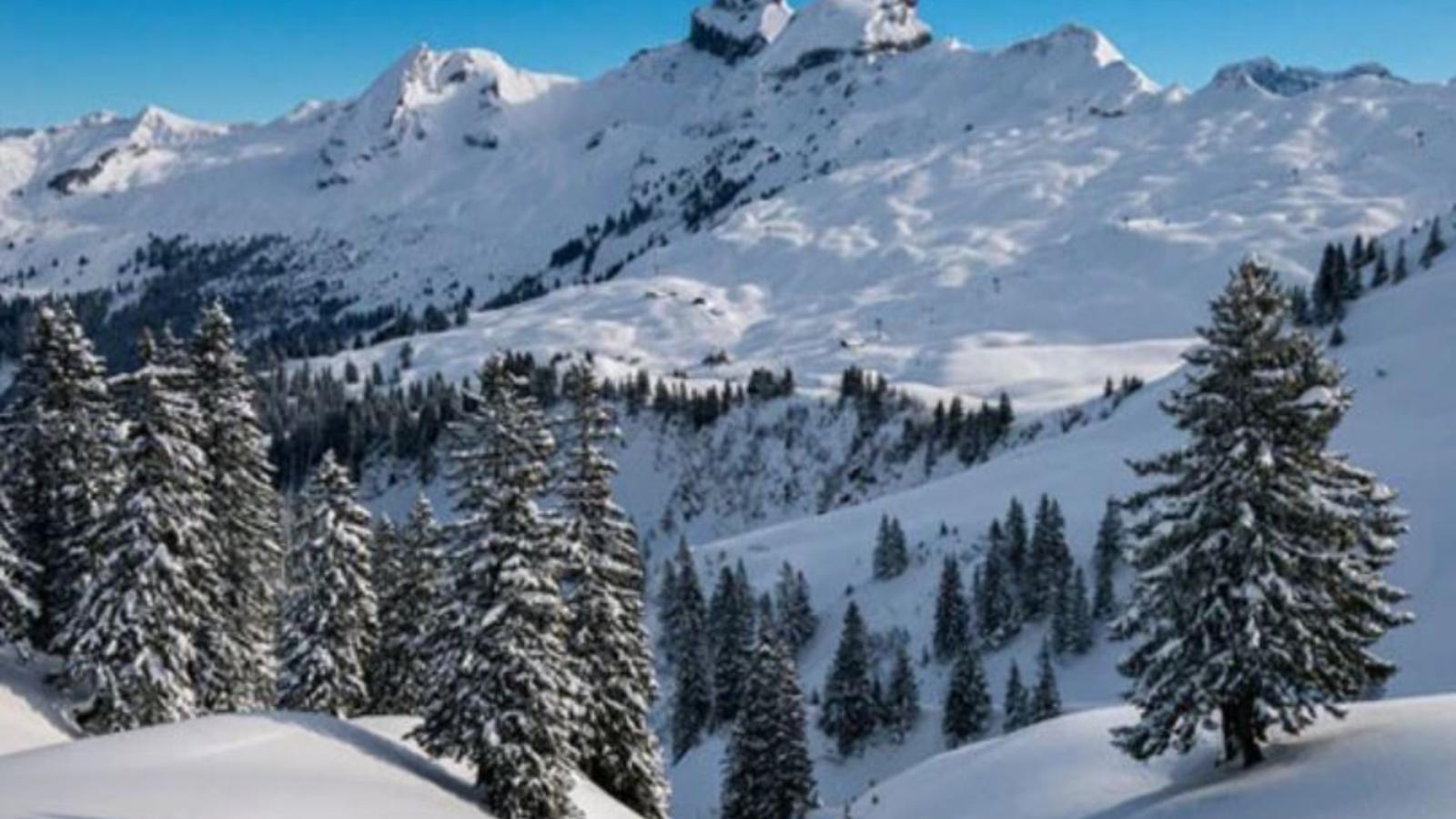Baier - Gebiet Winter 5 km