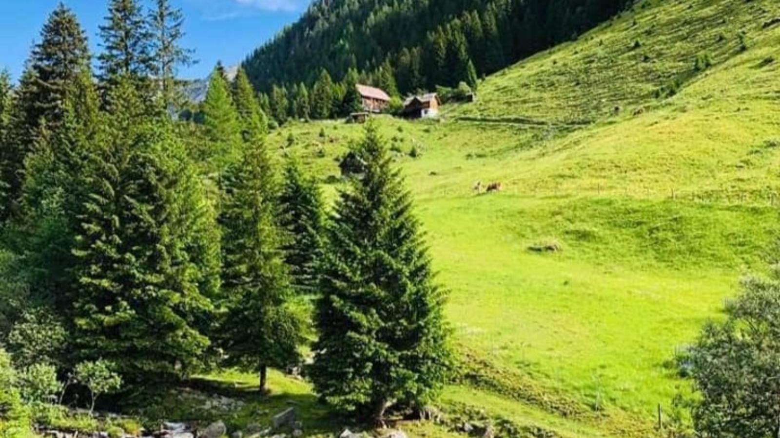 Baier - Gebiete Sommer 20 km