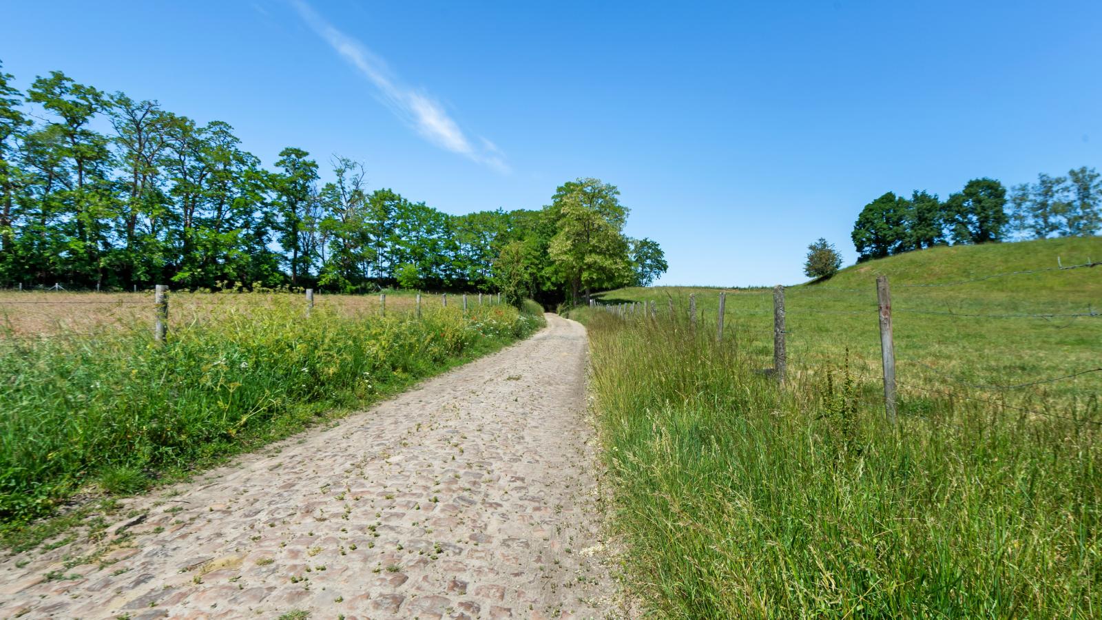 Quanto B-Gebieden zomer 1km