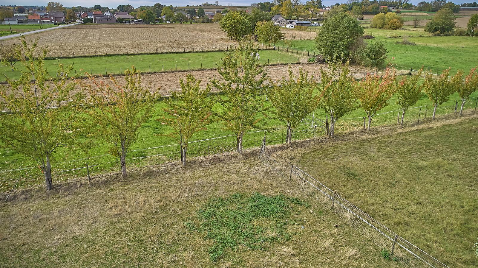 Quanto B-Tuinen zomer