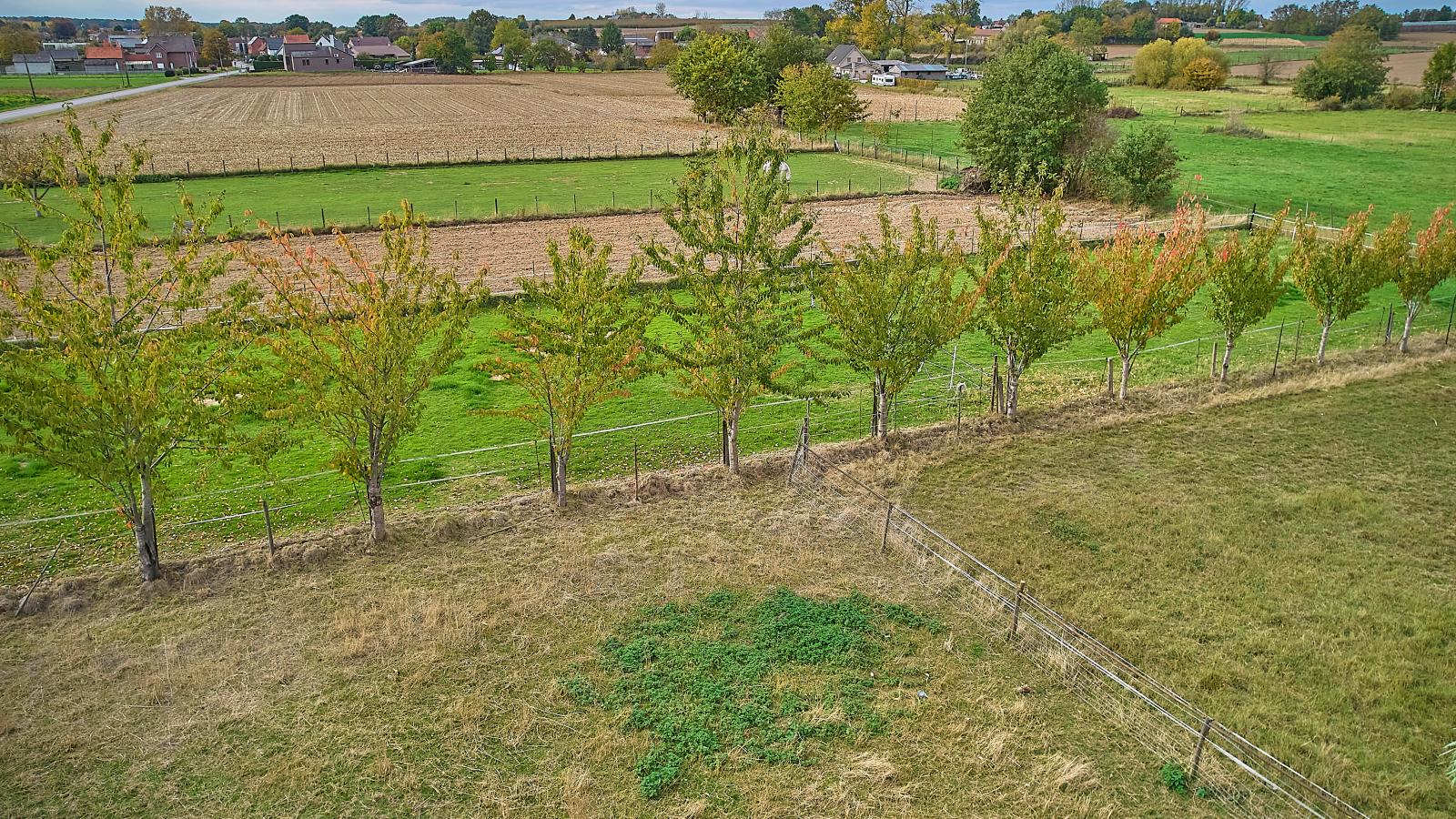 Quanto A  B-Garten Sommer