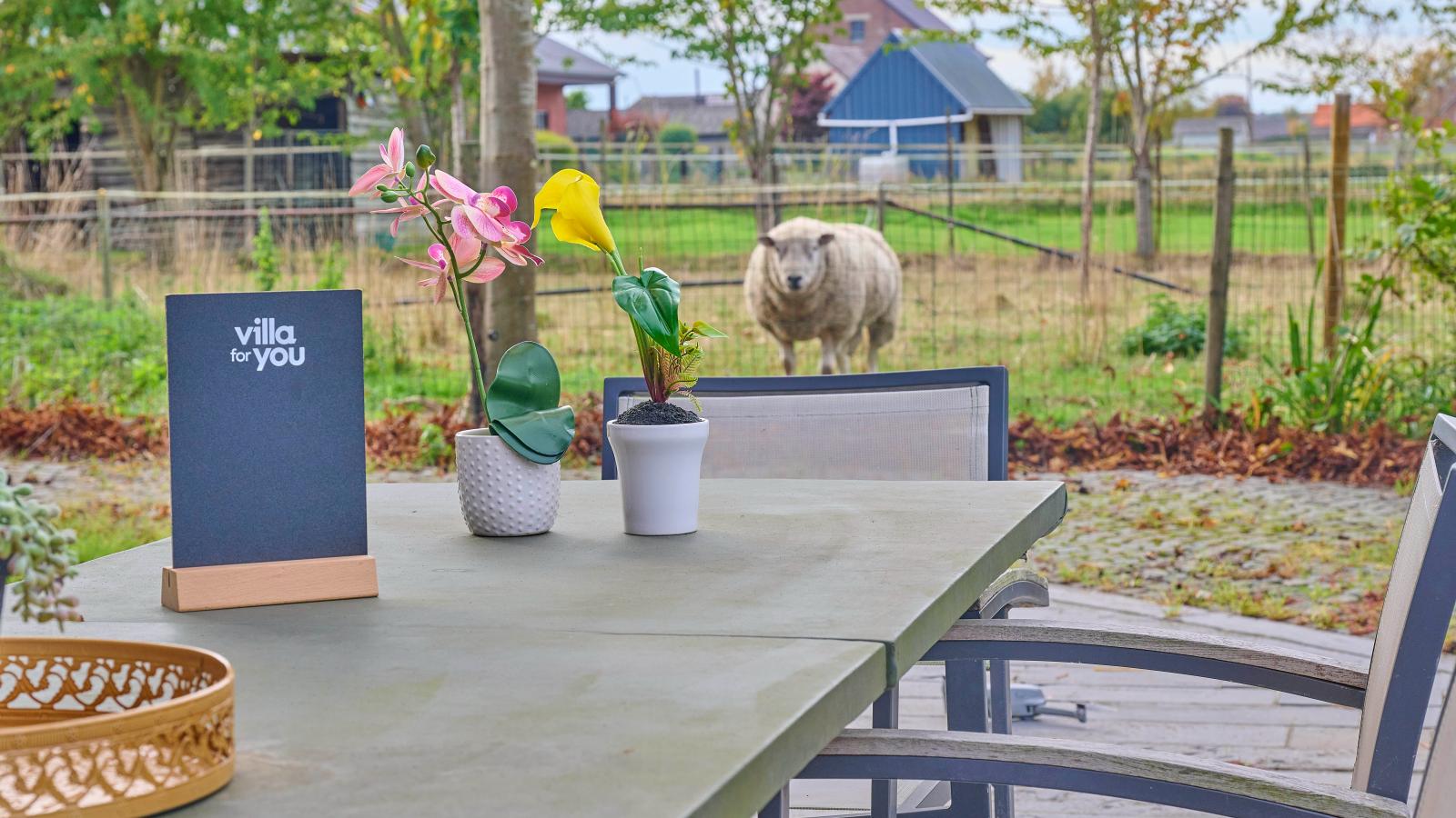 Quanto A  B-Terrasse/Balkon