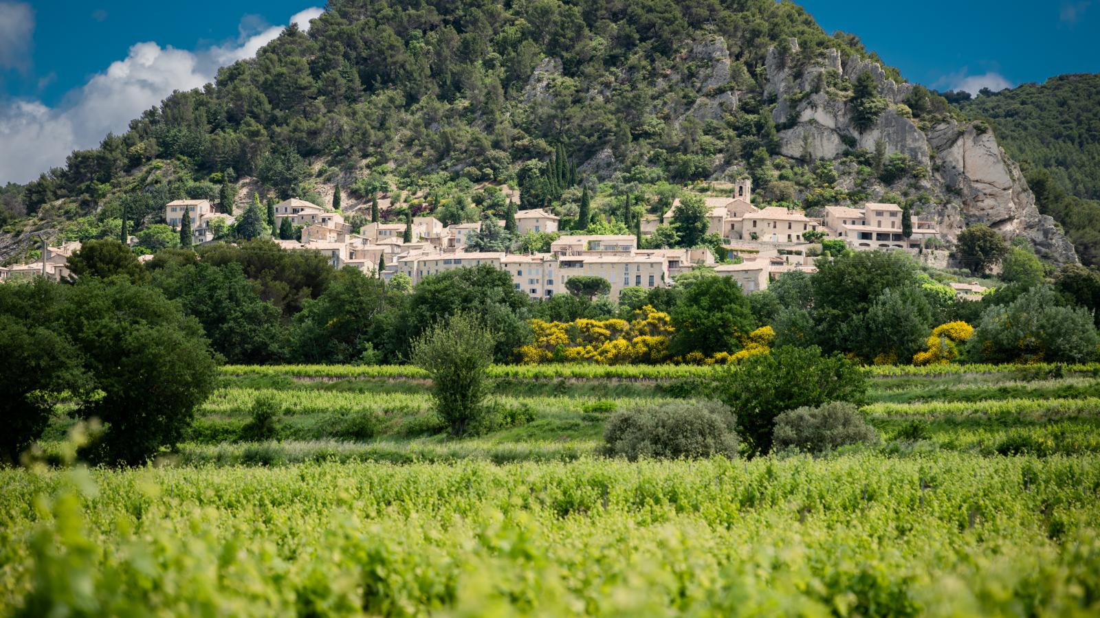 Bastide St John-Gebiete Sommer 1 km