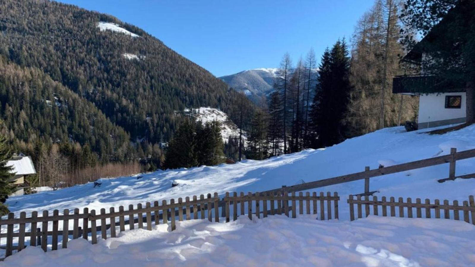 Ahorn-Area winter 1km