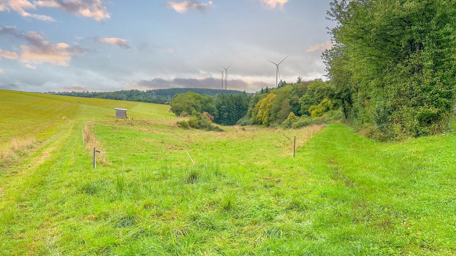 Panoramablick-Gebieden zomer 1km