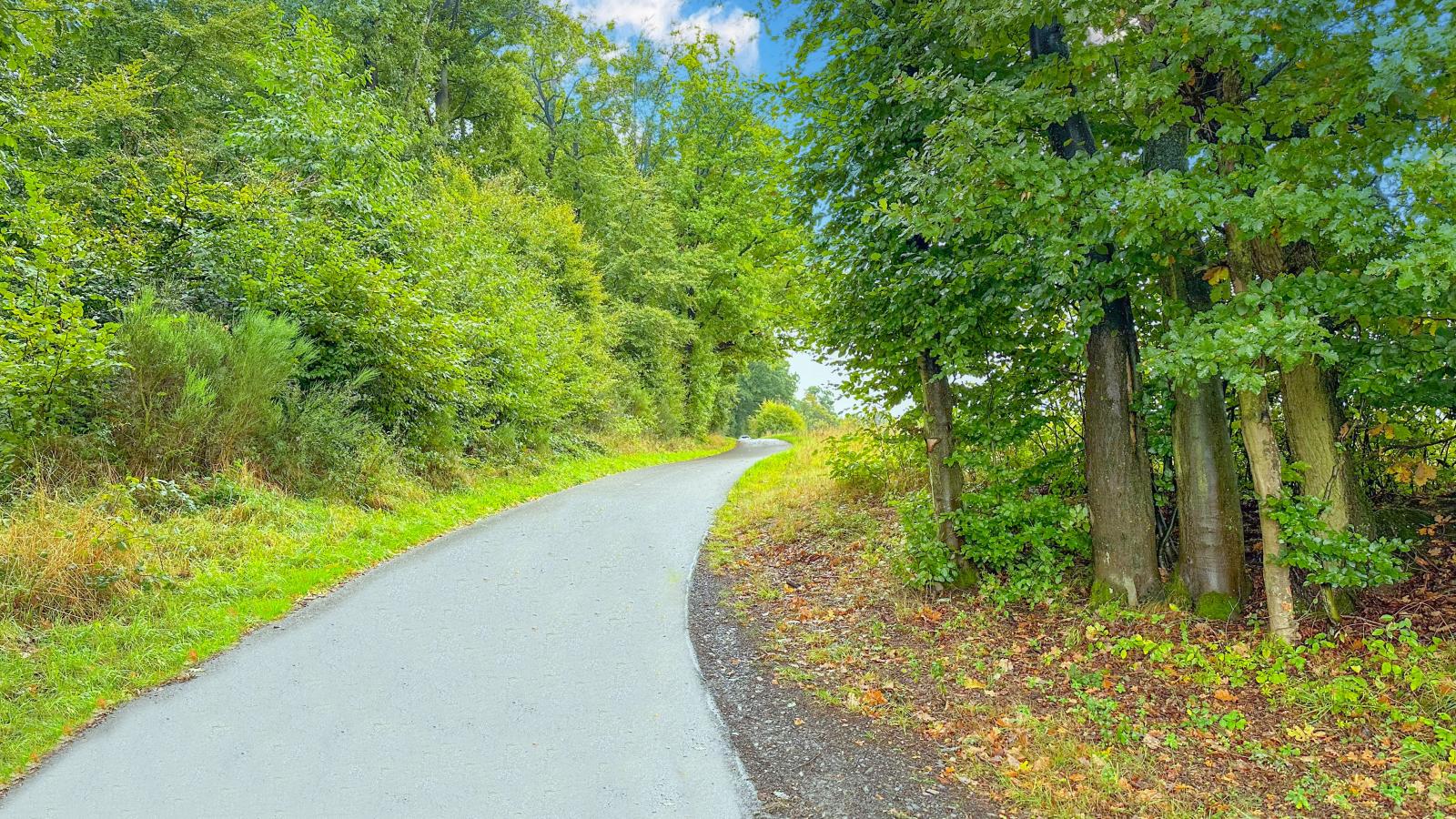 Panoramablick-Gebieden zomer 1km