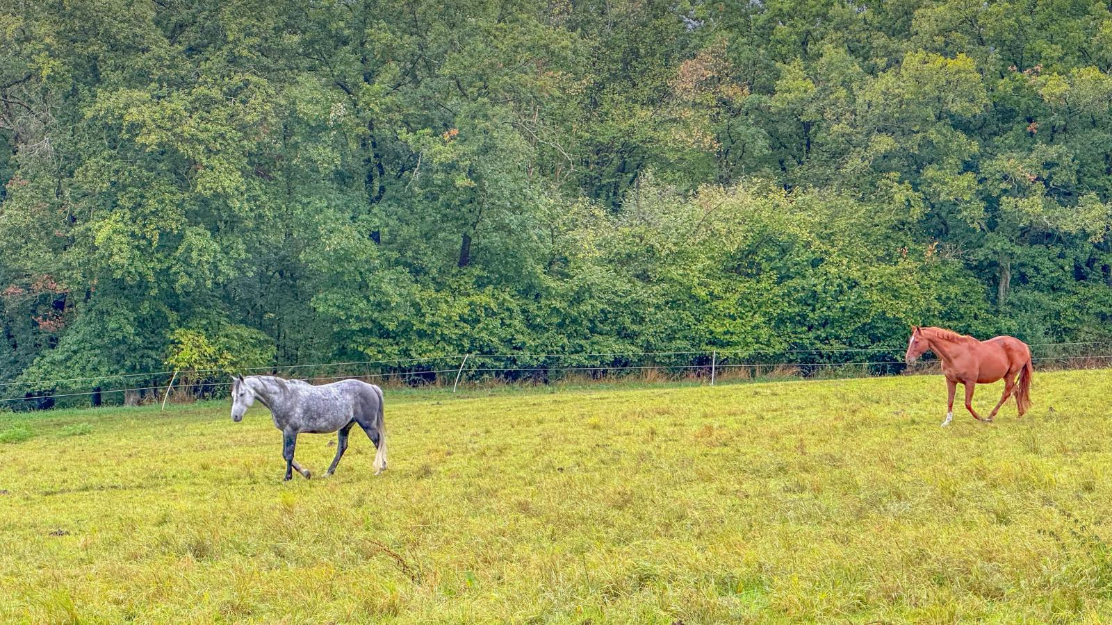 Panoramablick-Gebieden zomer 1km