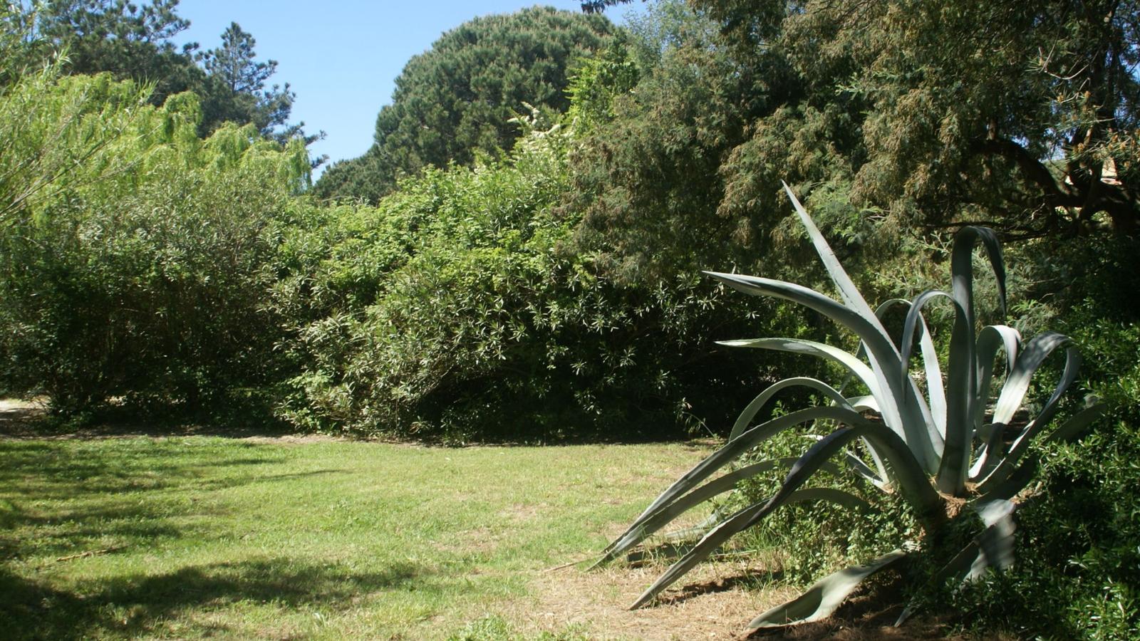 Les Romarins - Jardins en été