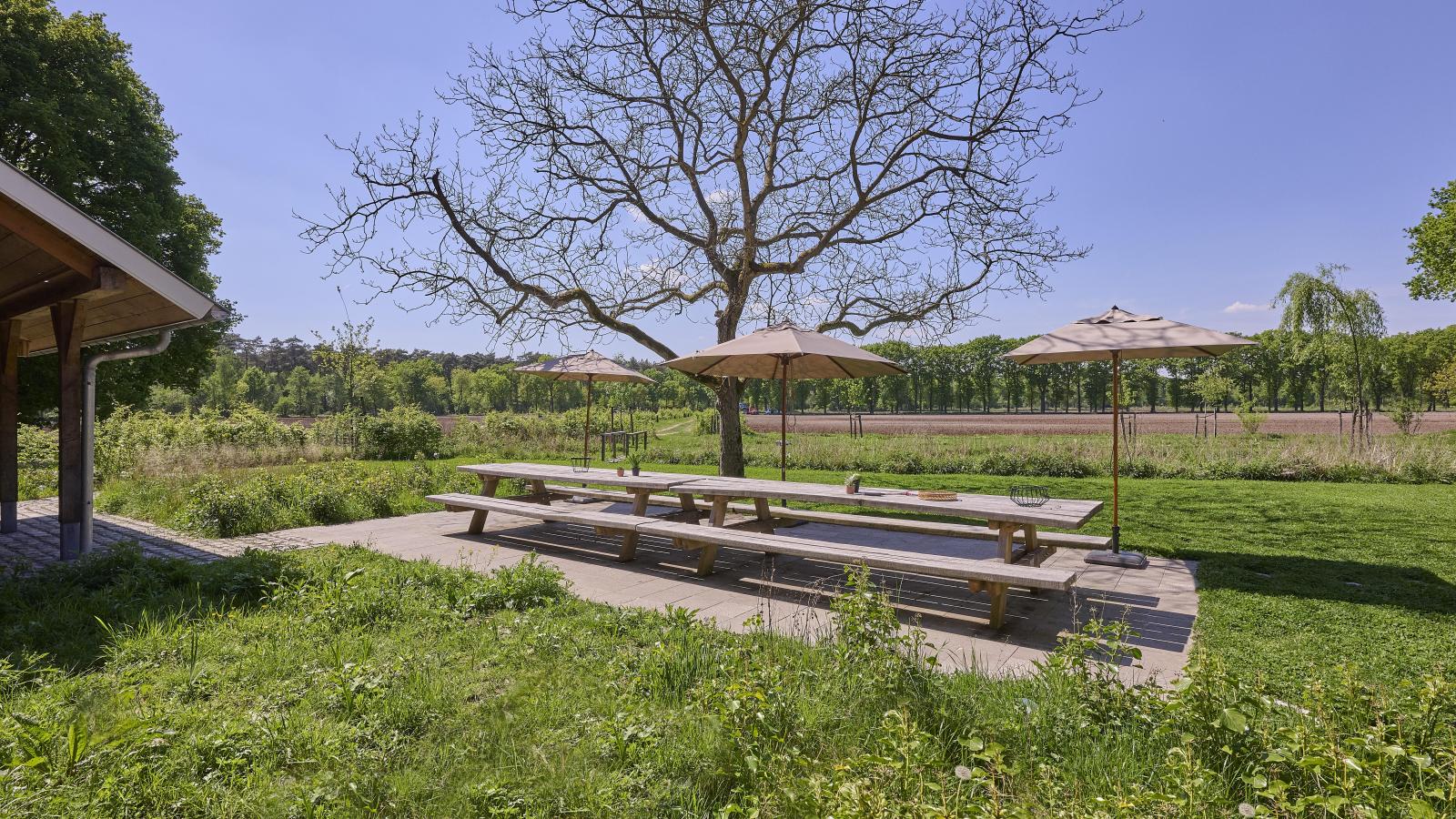 Villa Lactea-Gardens summer