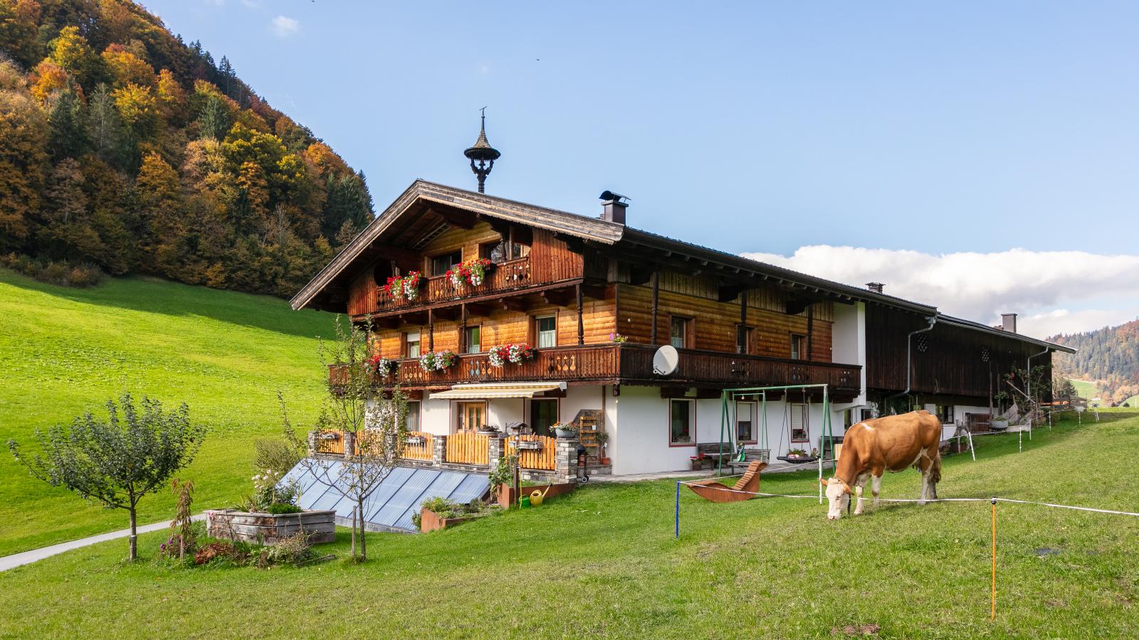 Tiroler Bergtraum Top 1-Außenbereich Sommer