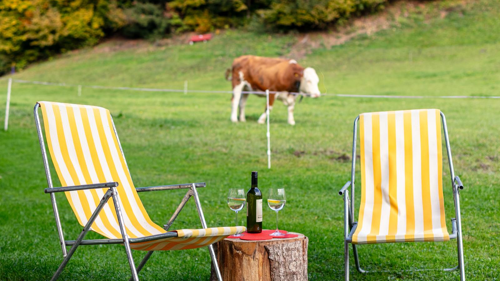 Tiroler Bergtraum Top 1-Garten Sommer