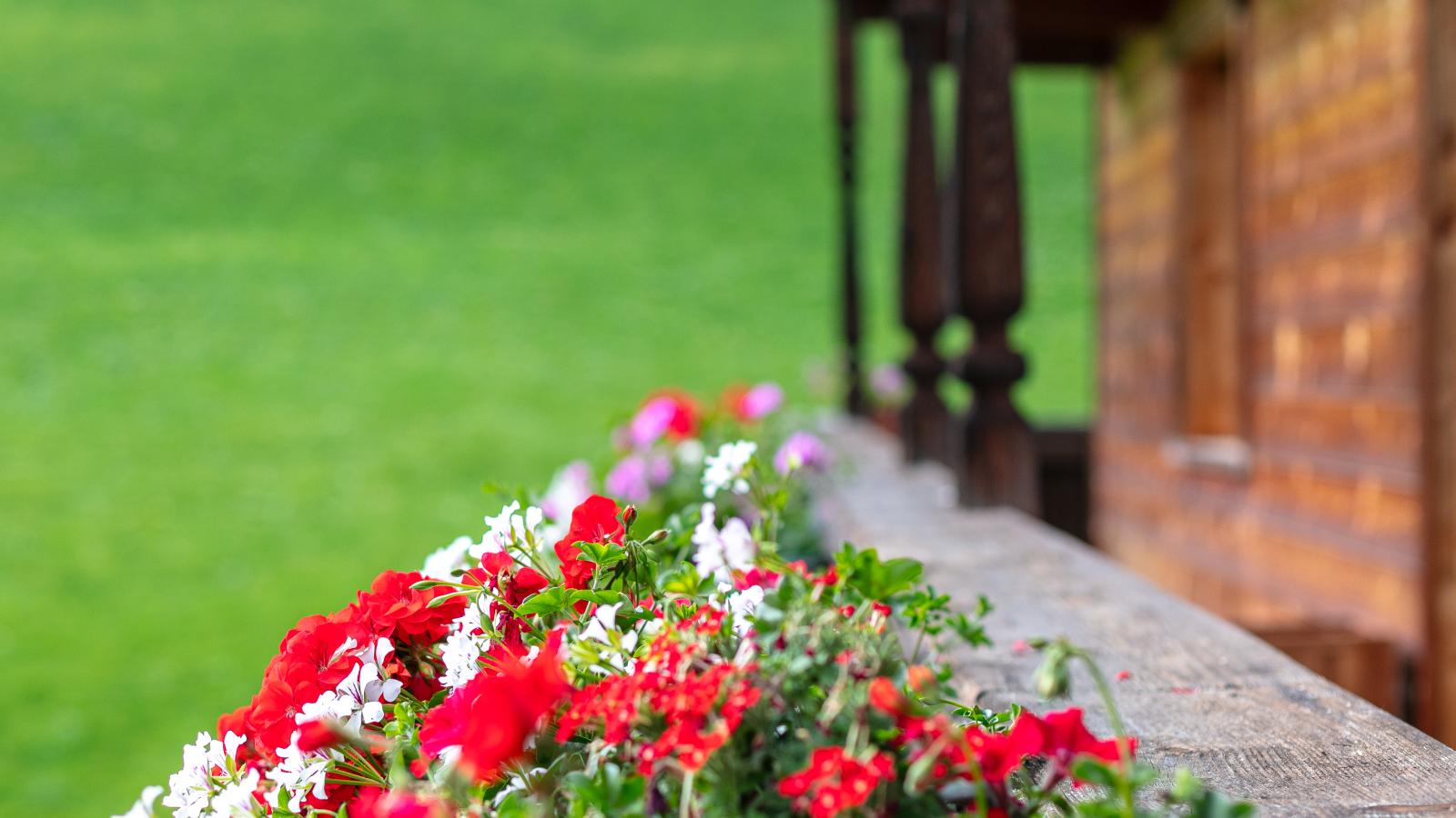 Tiroler Bergtraum Top 2-Sfeer