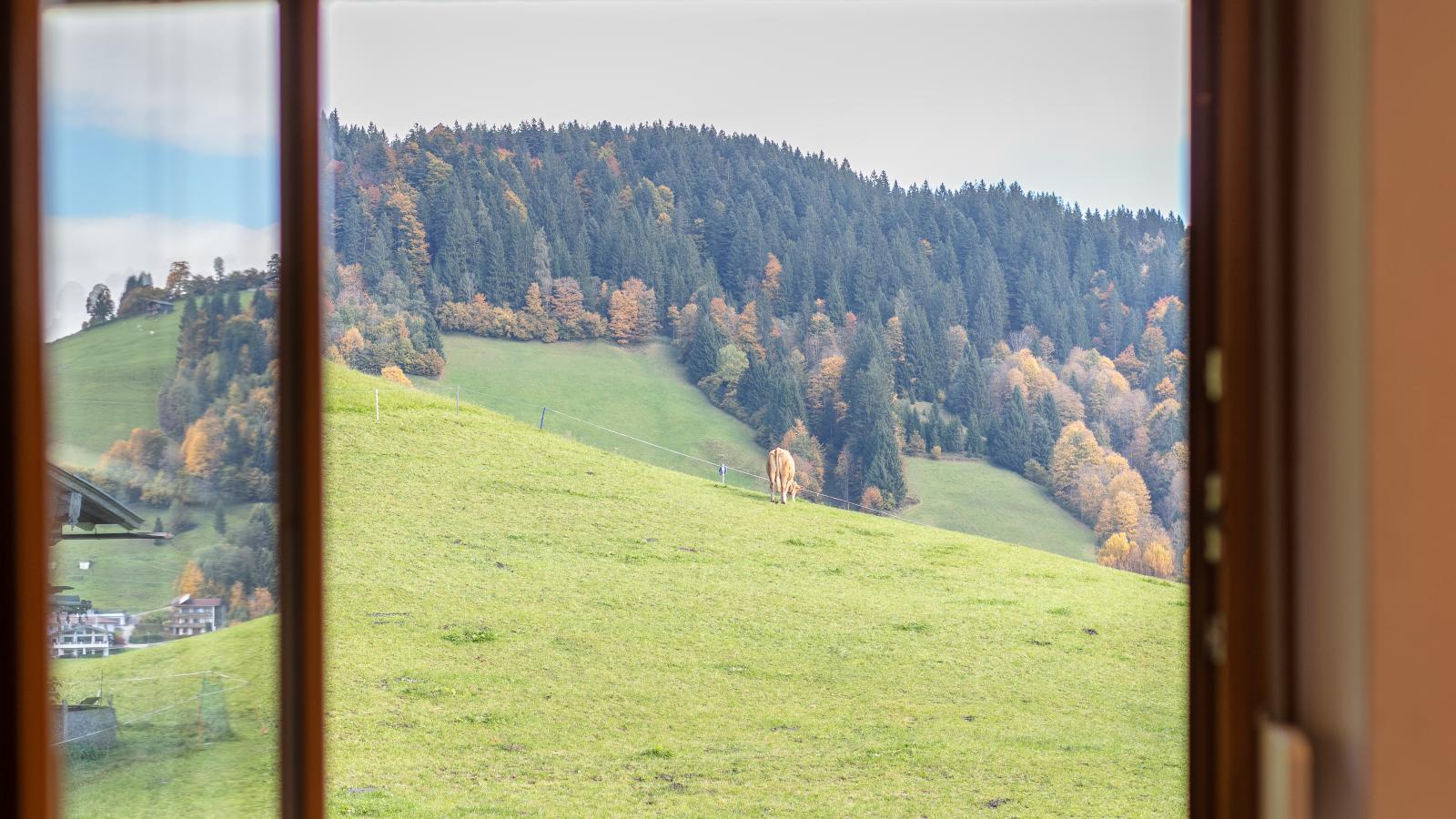 Tiroler Bergtraum Top 1 und 2-Uitzicht zomer