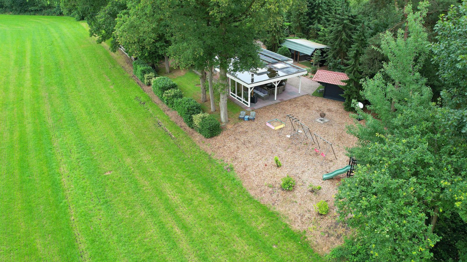 Langgoor-Außenbereich Sommer
