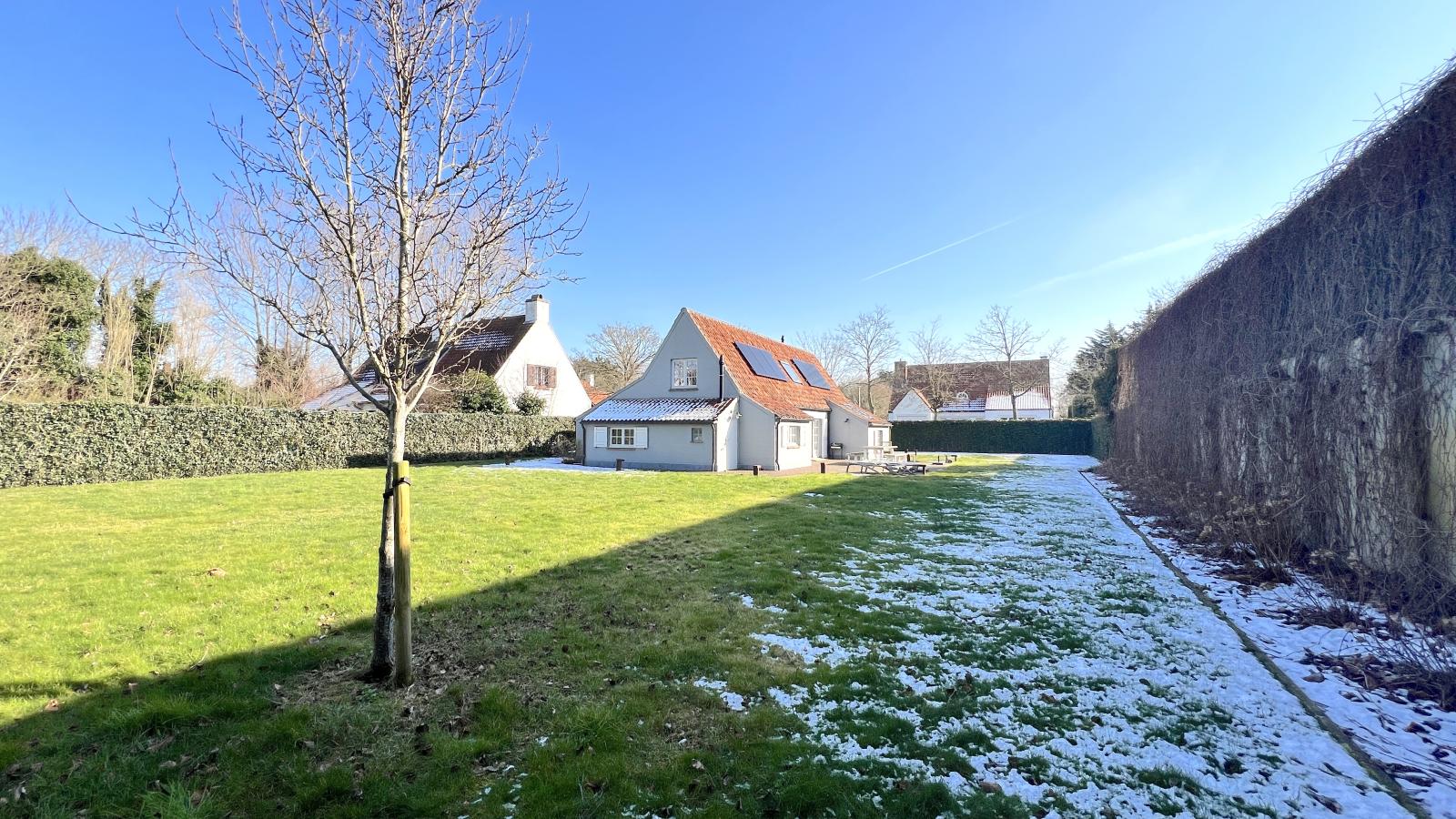 Amber-Exterior winter