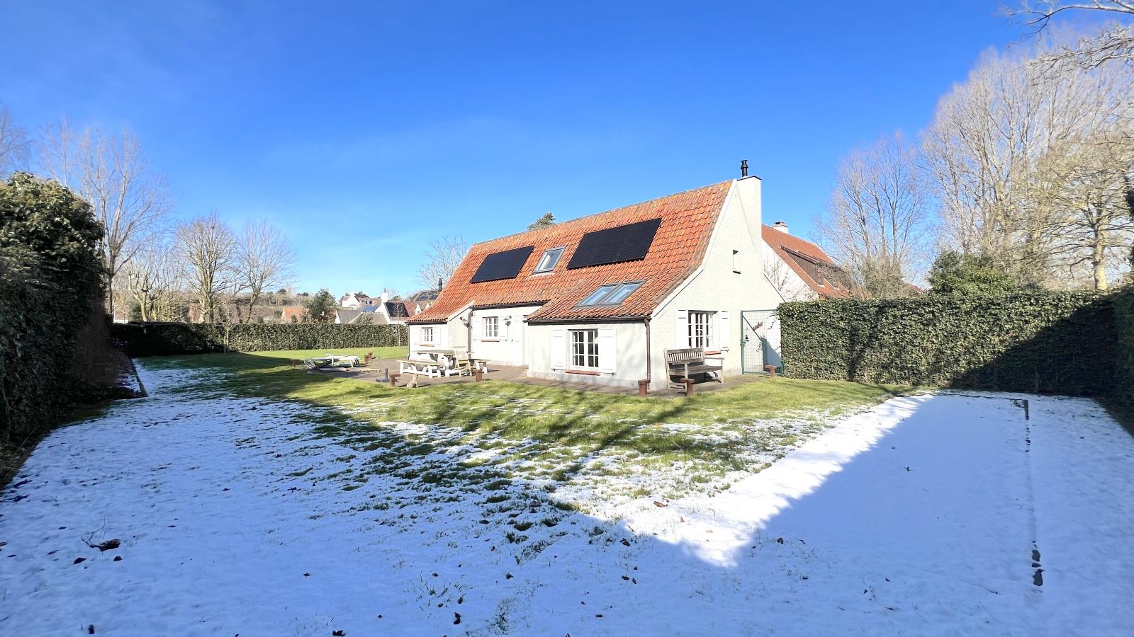 Amber-Exterior winter