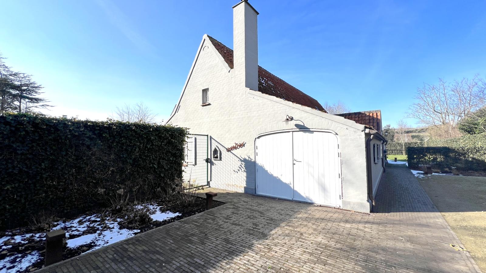 Amber-Exterior winter