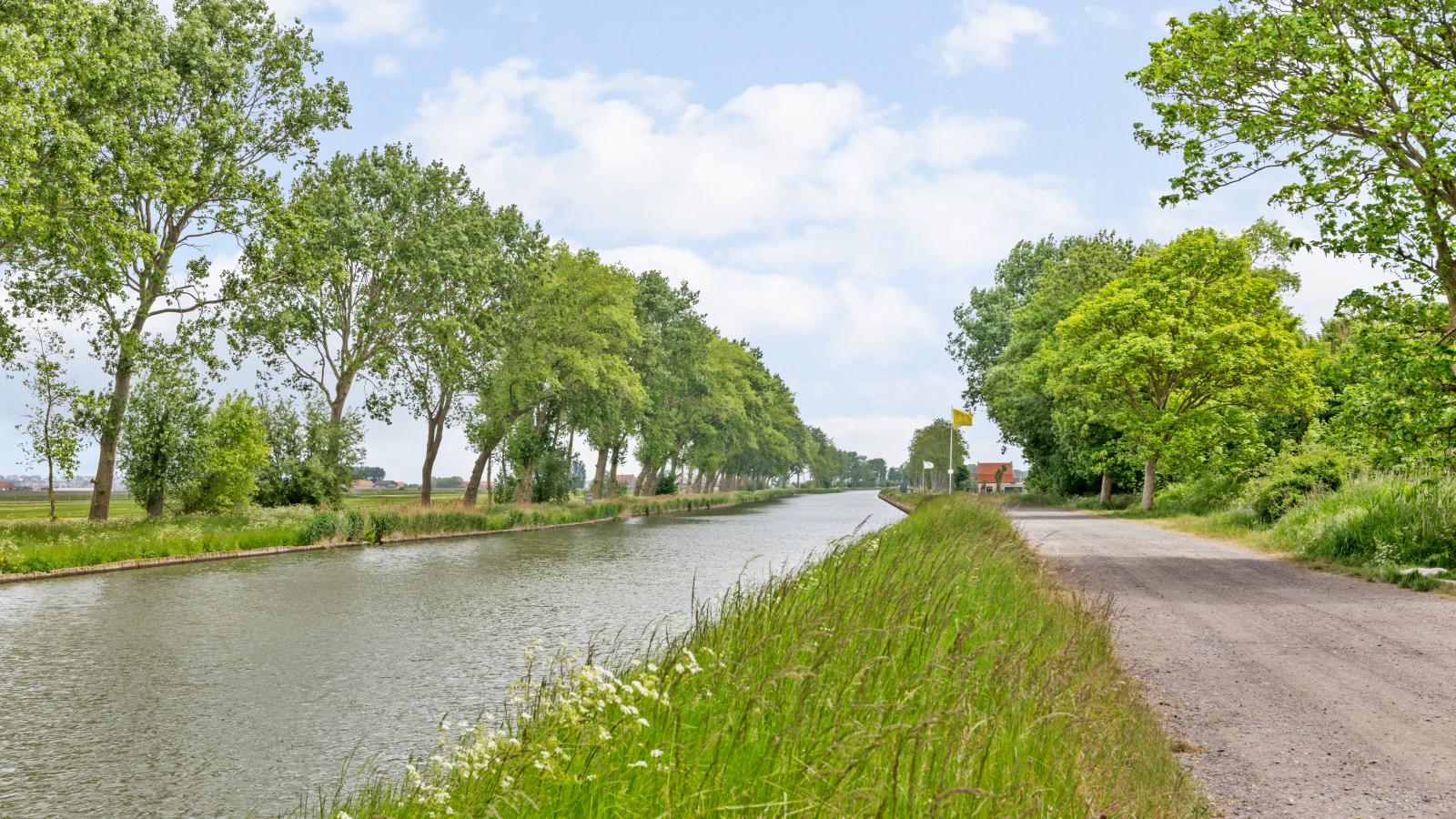 Maxim Jr-Gebieden zomer 1km