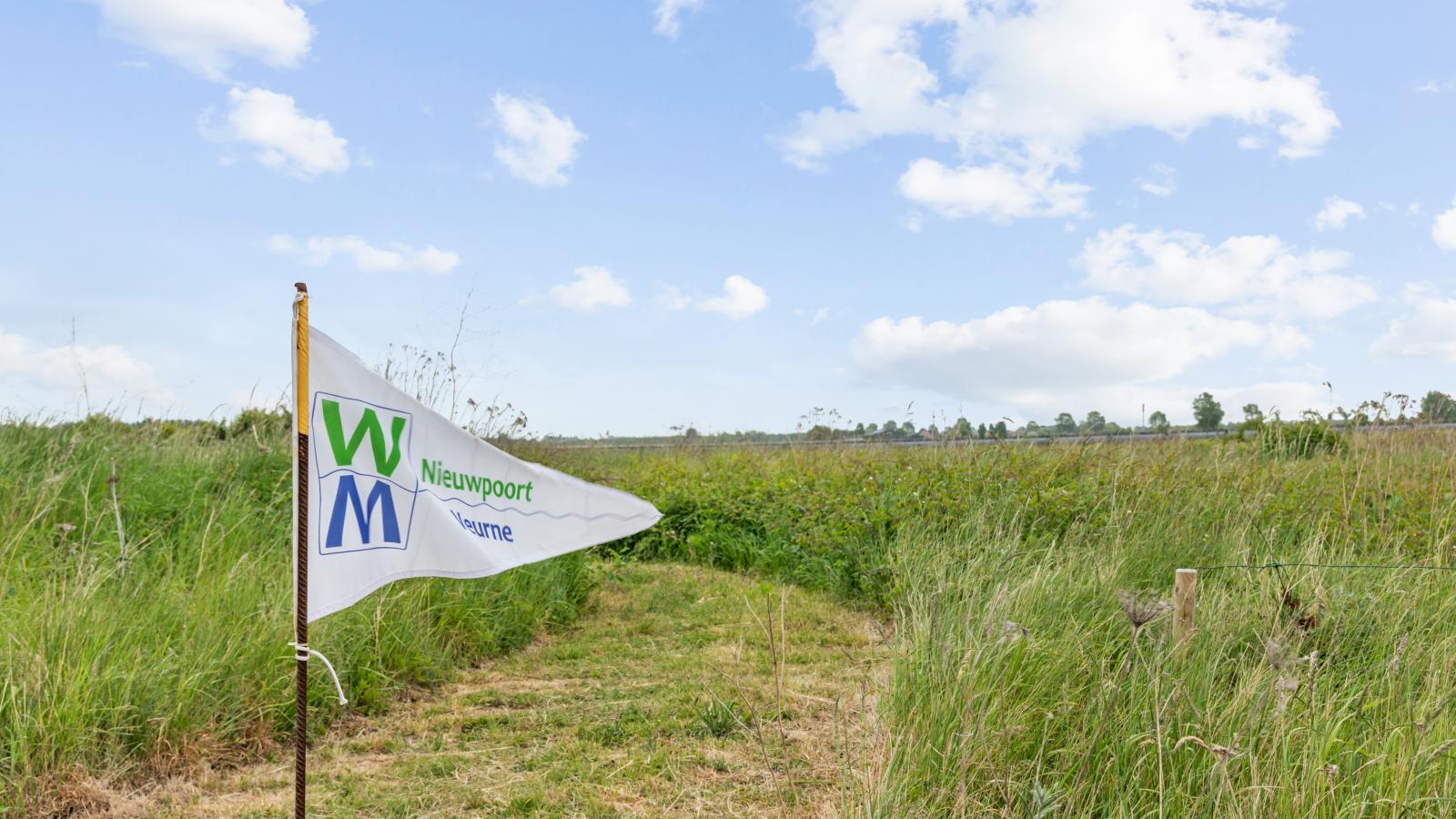 Maxim Jr-Gebieden zomer 1km