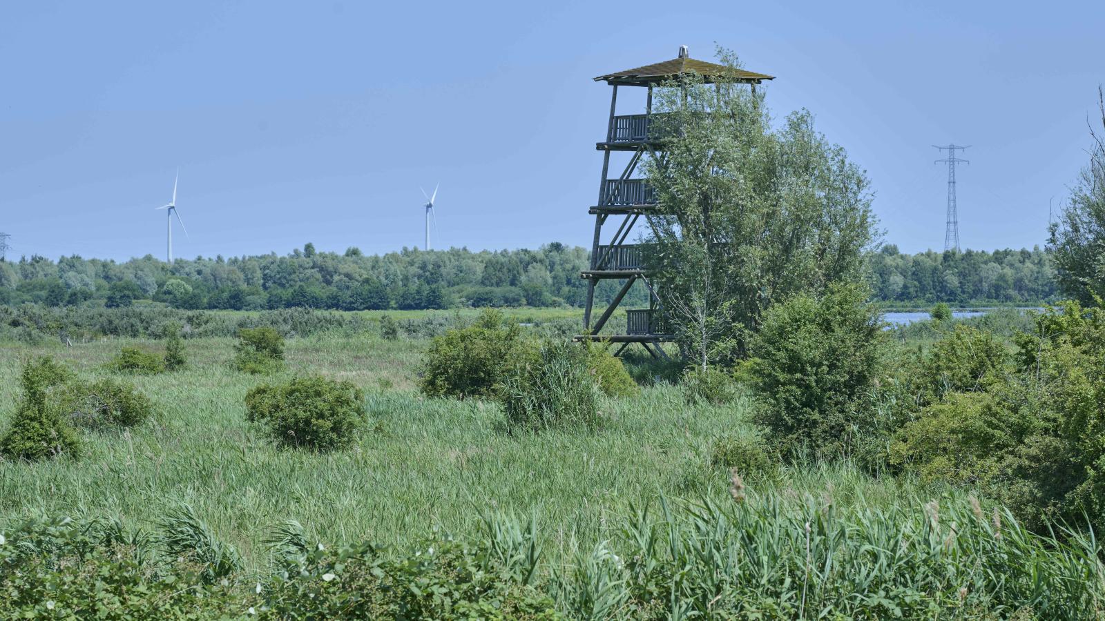 Poldergeluk-Zones d'été à 5 km