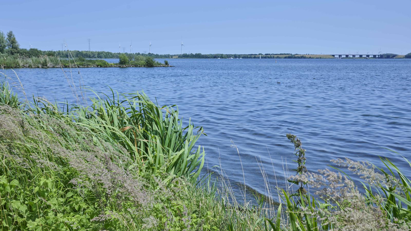 Poldergeluk-Zones d'été à 5 km